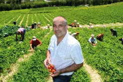 Konfitüre * Karl Telfser Erdbeer-Fruchtaufstrich aus Südtirol