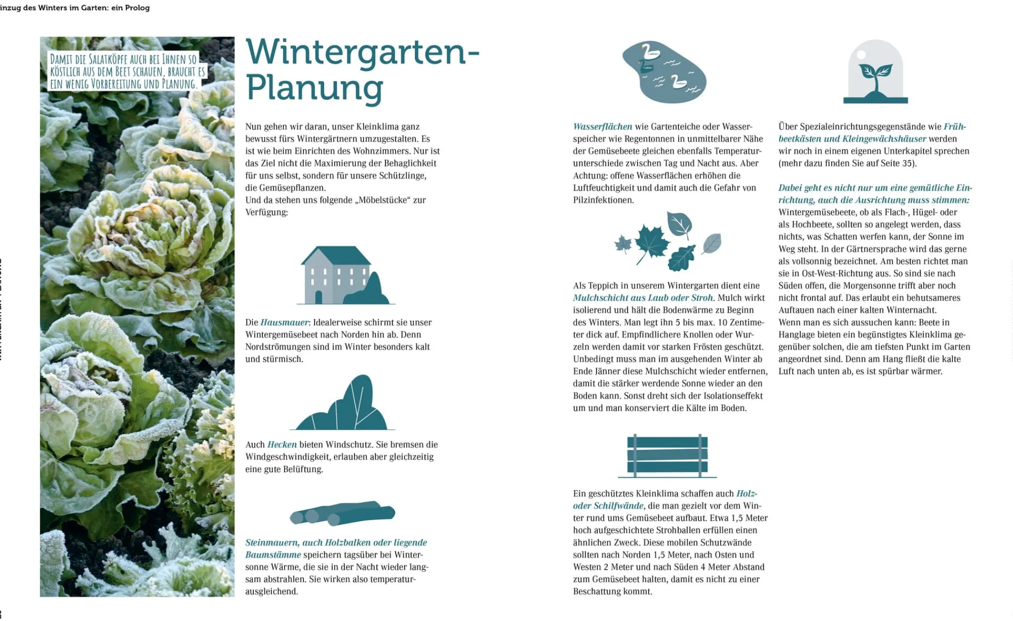 Kochen & Backen * Löwenzahn Verlag Ernte mich im Winter