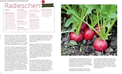 Kochen & Backen * Löwenzahn Verlag Ernte mich im Winter