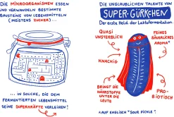 Kochen & Backen|Ratgeber * Ulmer Verlag Fermentieren