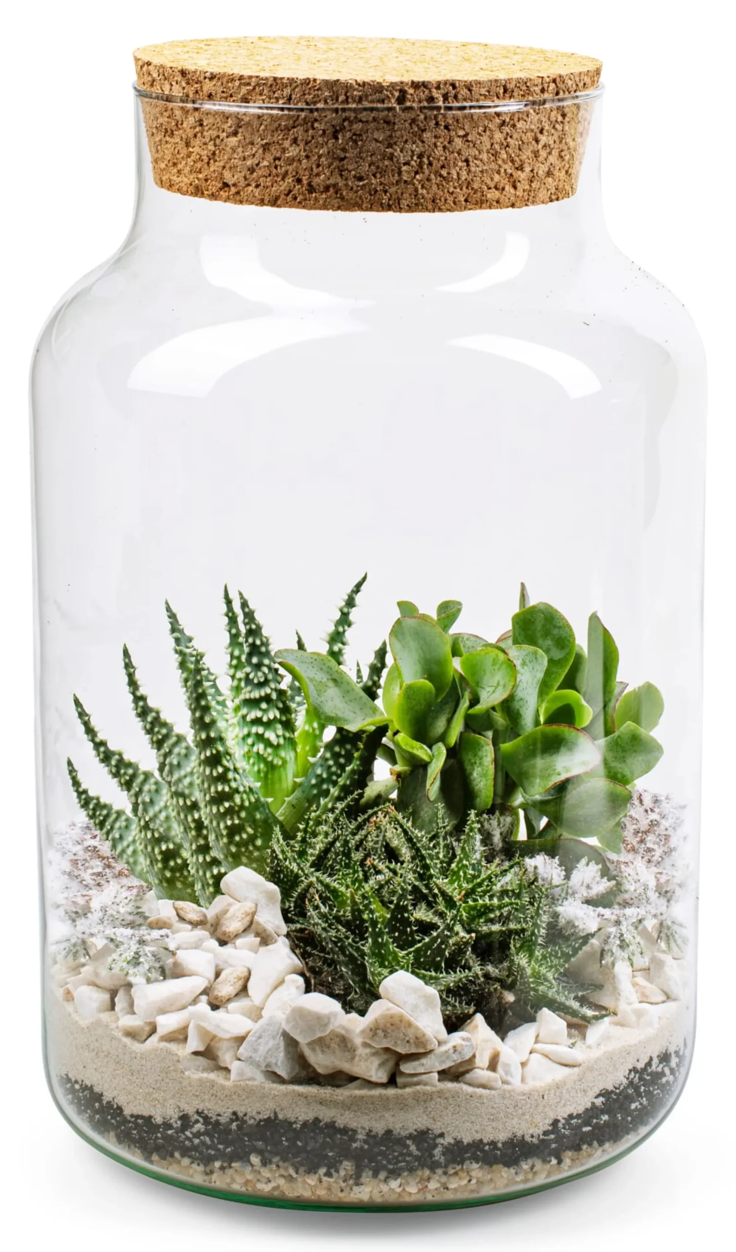 Zimmergärtnerei|Pflanzenvermehrung * Jodeco Glass Flaschengarten mit Substrat