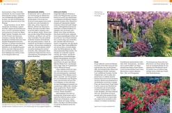 Garten & Natur|Ratgeber * Ulmer Verlag Gehölze von A-Z