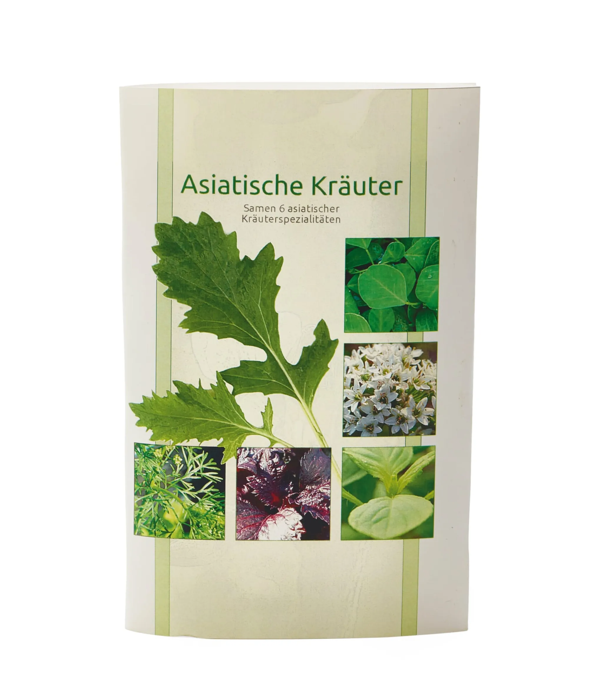 Gemüsesamen|Gemüsepflanzen * Gartenrot - Anja Walessa Gemüsesamen Asiatische Kräuter