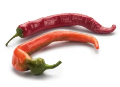 Gemüsesamen|Gemüsepflanzen * Manufactum Gemüsesamen Besondere Chilis und Paprika