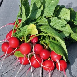 Gemüsesamen * Manufactum Gemüsesamen Gartengemüse Alte Landsorten