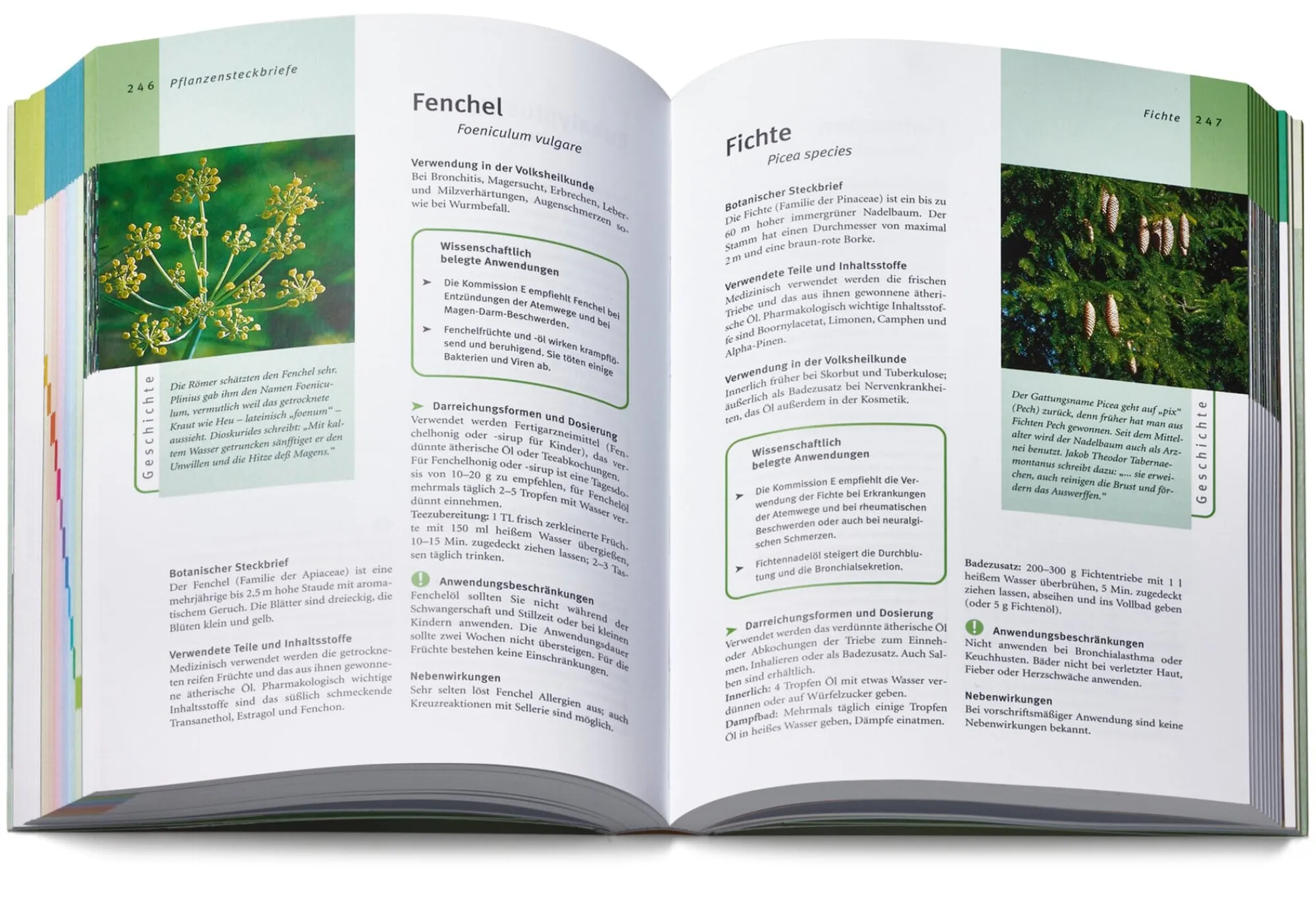 Ratgeber * Gräfe und Unzer Verlag Grüne Apotheke. Das Standardwerk zur Pflanzenheilkunde Dr. Jörg Grünwald und Christof Jänicke