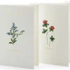 Papeterie * Büttenpapierfabrik Gmund Grußkarten Blumen