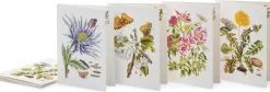 Papeterie * Favoritenpresse Grußkarten Blumenmotive Maria Sibylla Merian