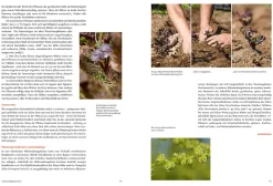 Garten & Natur|Ratgeber * Löwenzahn Verlag Handbuch Samengärtnerei