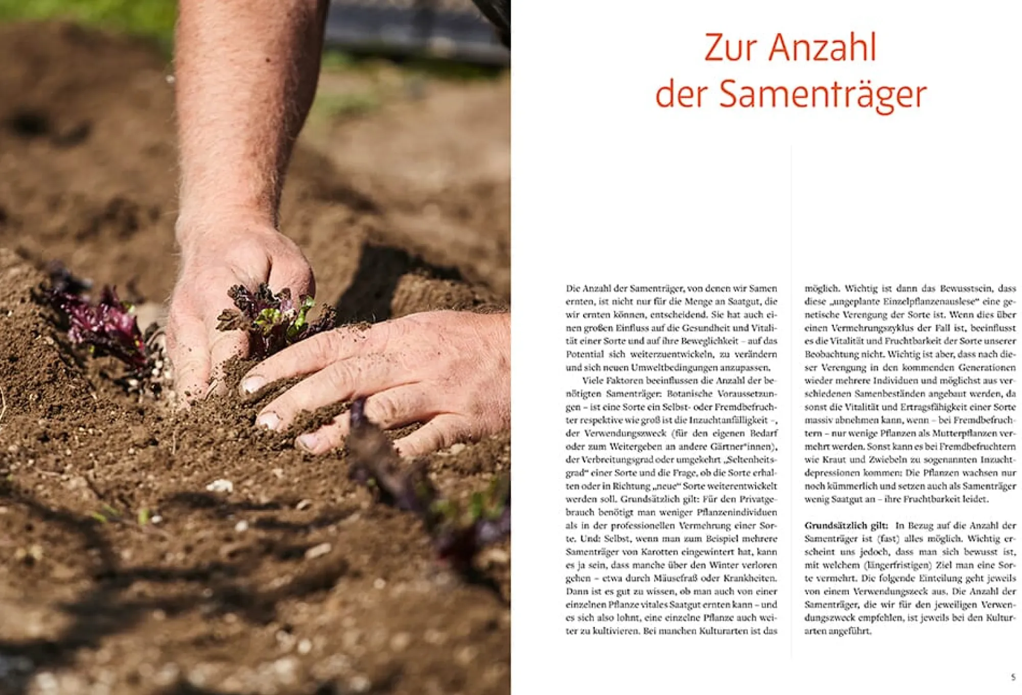 Garten & Natur|Ratgeber * Löwenzahn Verlag Handbuch Samengärtnerei