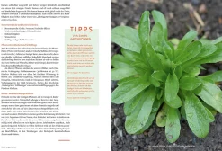 Garten & Natur|Ratgeber * Löwenzahn Verlag Handbuch Samengärtnerei