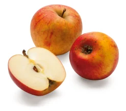 Obstgehölze * Martin Müller Baumschulen Herbstapfel 'Goldparmäne'