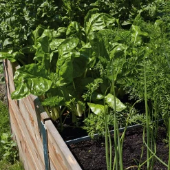 Pflanzenvermehrung|Hochbeete * Estermeier Hochbeet Lärchenholz