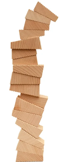 Holzspielzeug|Holzspielzeug * Holzbausteine Follies