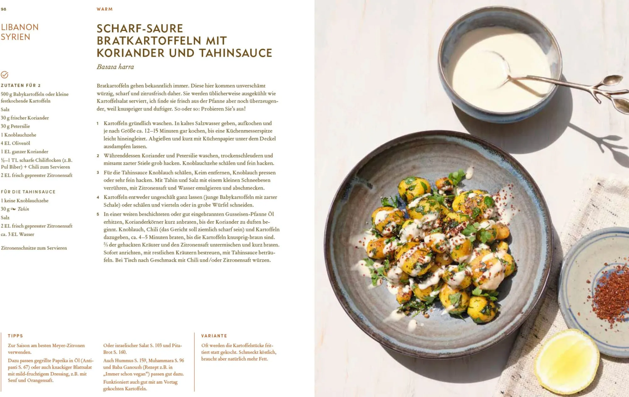 Kochen & Backen * Christian Brandstätter Verlag Immer wieder vegan