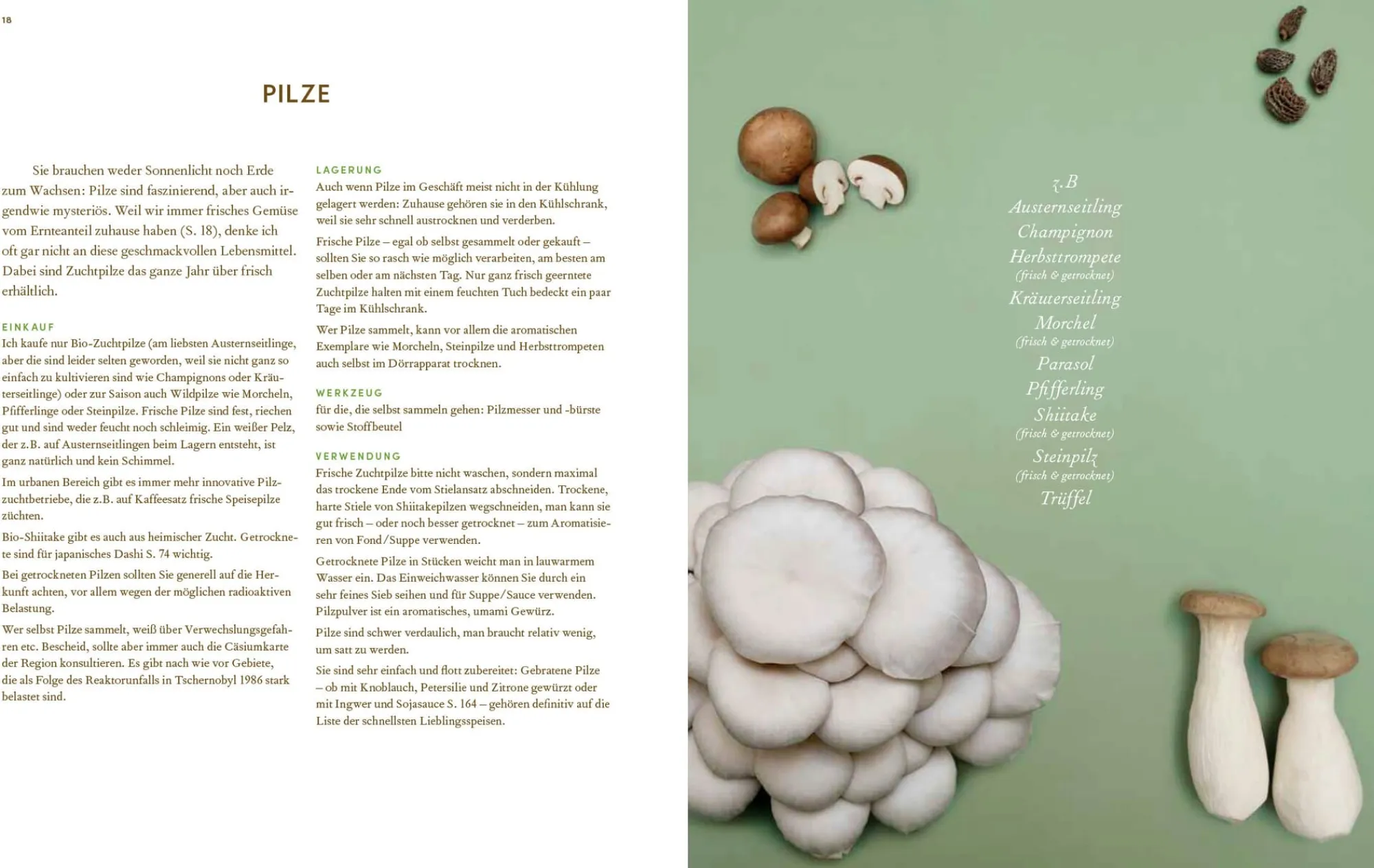 Kochen & Backen * Christian Brandstätter Verlag Immer wieder vegan