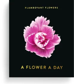 Zeitplaner & Kalender * Seltmann Publishers Jahreskalender Flamboyant Flowers