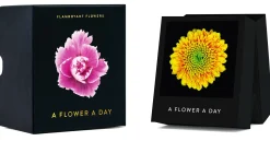 Zeitplaner & Kalender * Seltmann Publishers Jahreskalender Flamboyant Flowers
