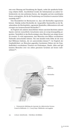Kochen & Backen|Sachbücher * Edition Wurzer & Vilgis Journal Culinaire