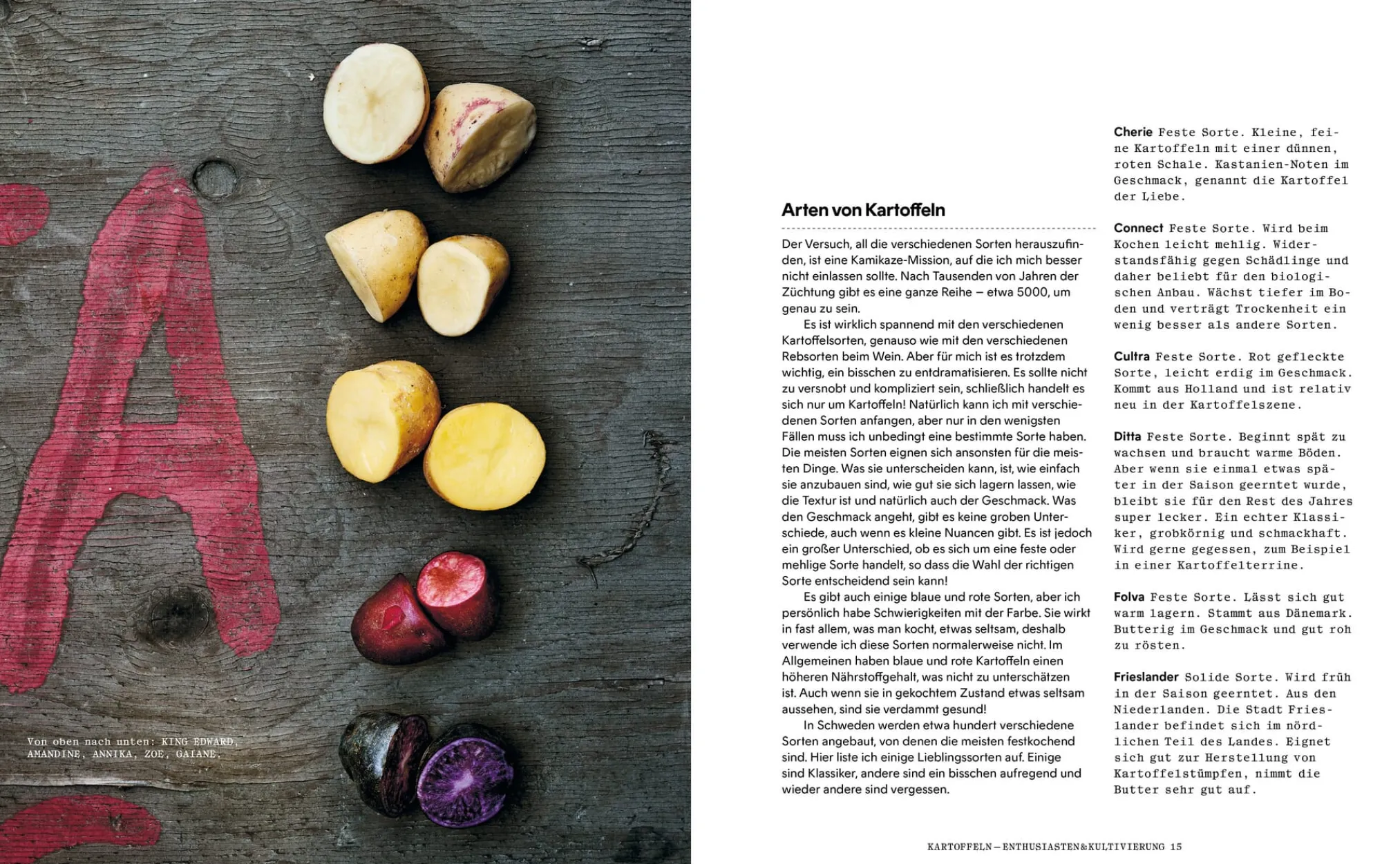 Kochen & Backen|Ratgeber * Die Gestalten Verlag Kartoffelküche