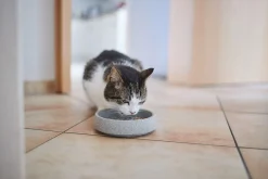 Alles Für Das Haustier * Denk Keramische Werkstätten Katzennapf Granitkeramik