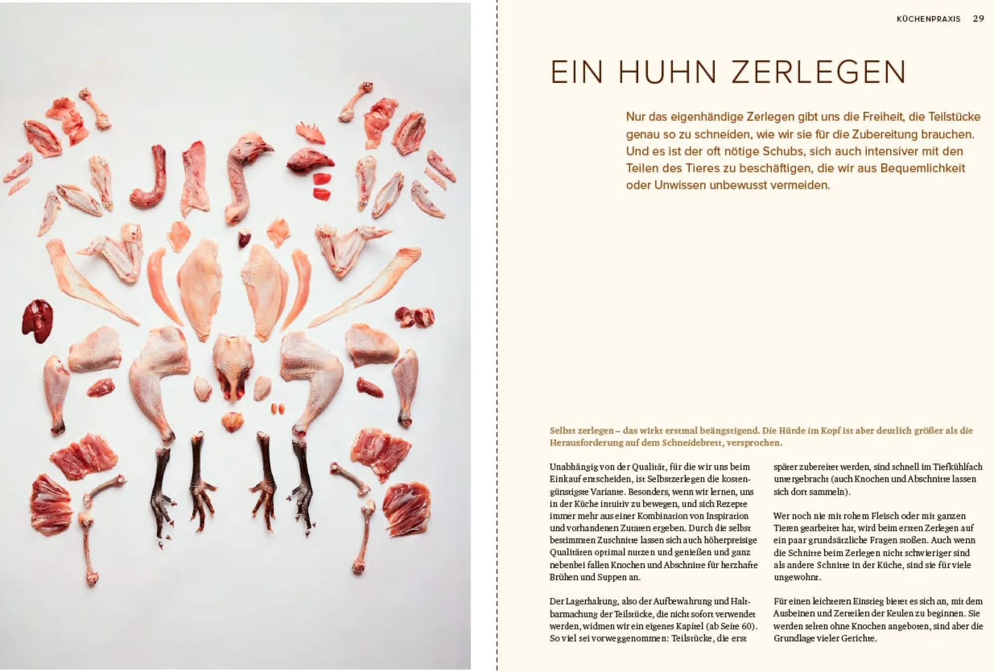 Kochen & Backen|Ratgeber * Ulmer Verlag Küchenhandbuch Huhn