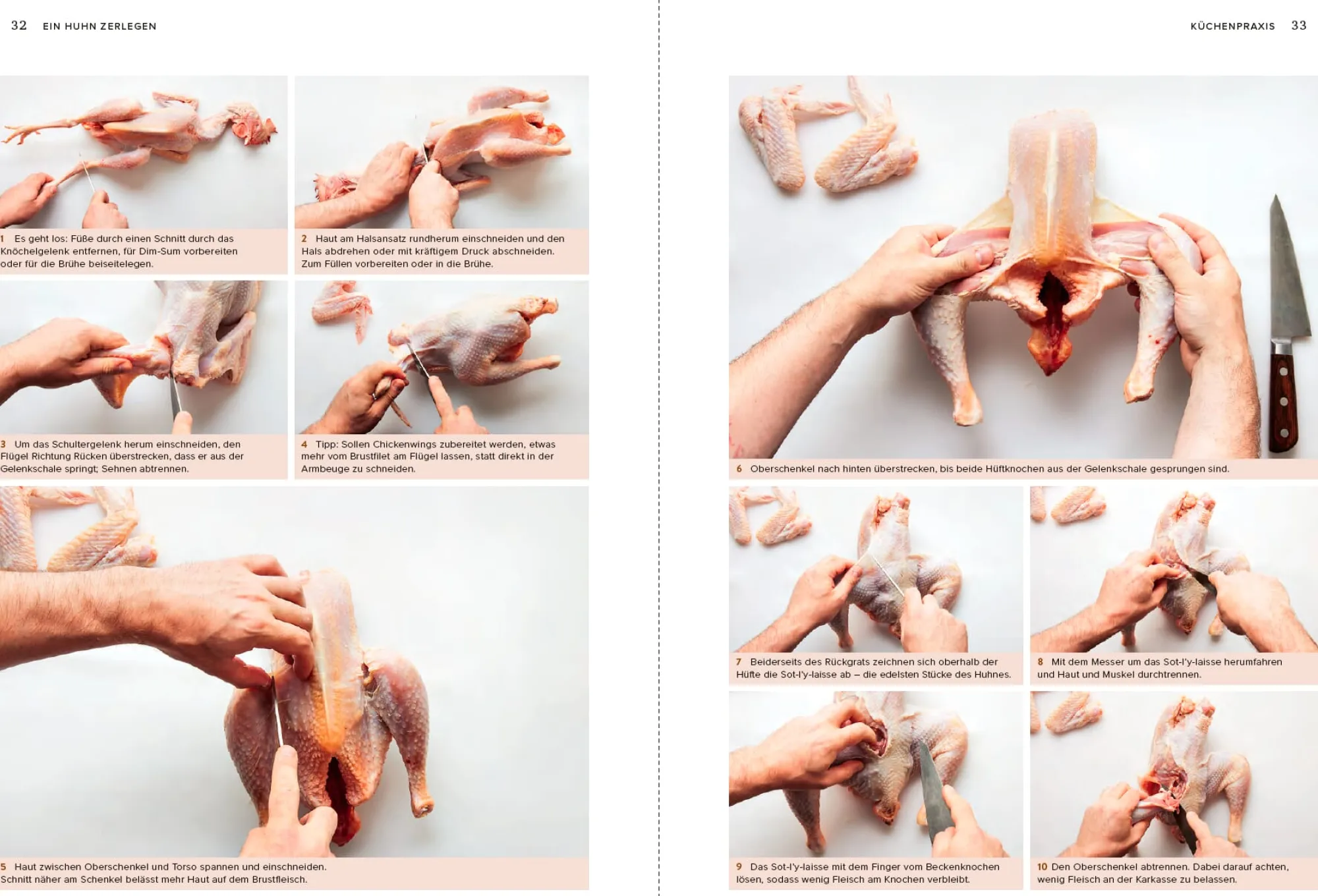 Kochen & Backen|Ratgeber * Ulmer Verlag Küchenhandbuch Huhn