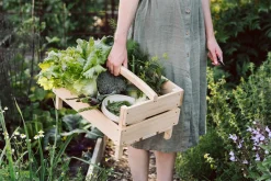 Gartenscheren * Clauberg Filhos Kleine Gartenschere