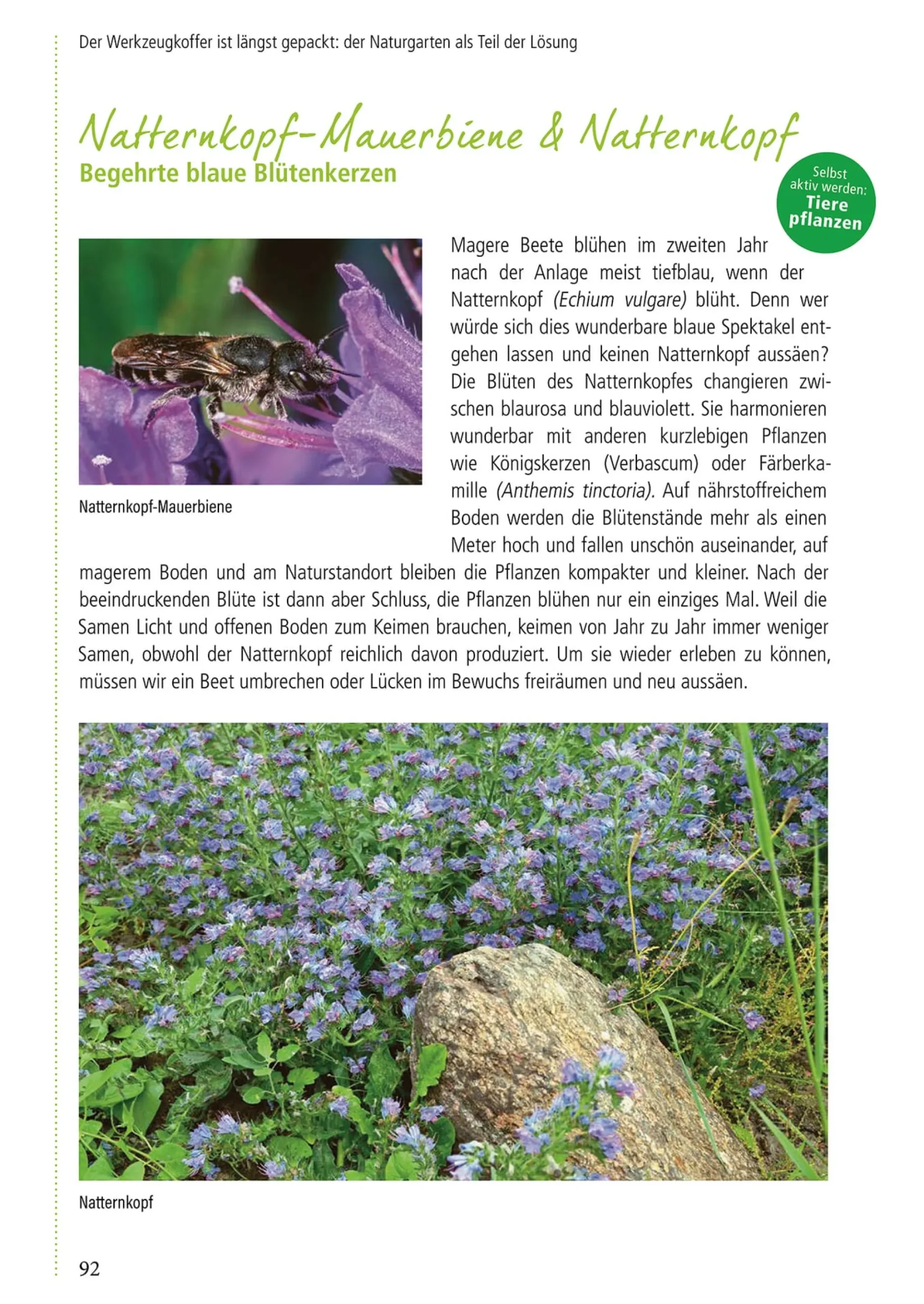 Garten & Natur|Ratgeber * Pala-Verlag Klimafest und artenreich