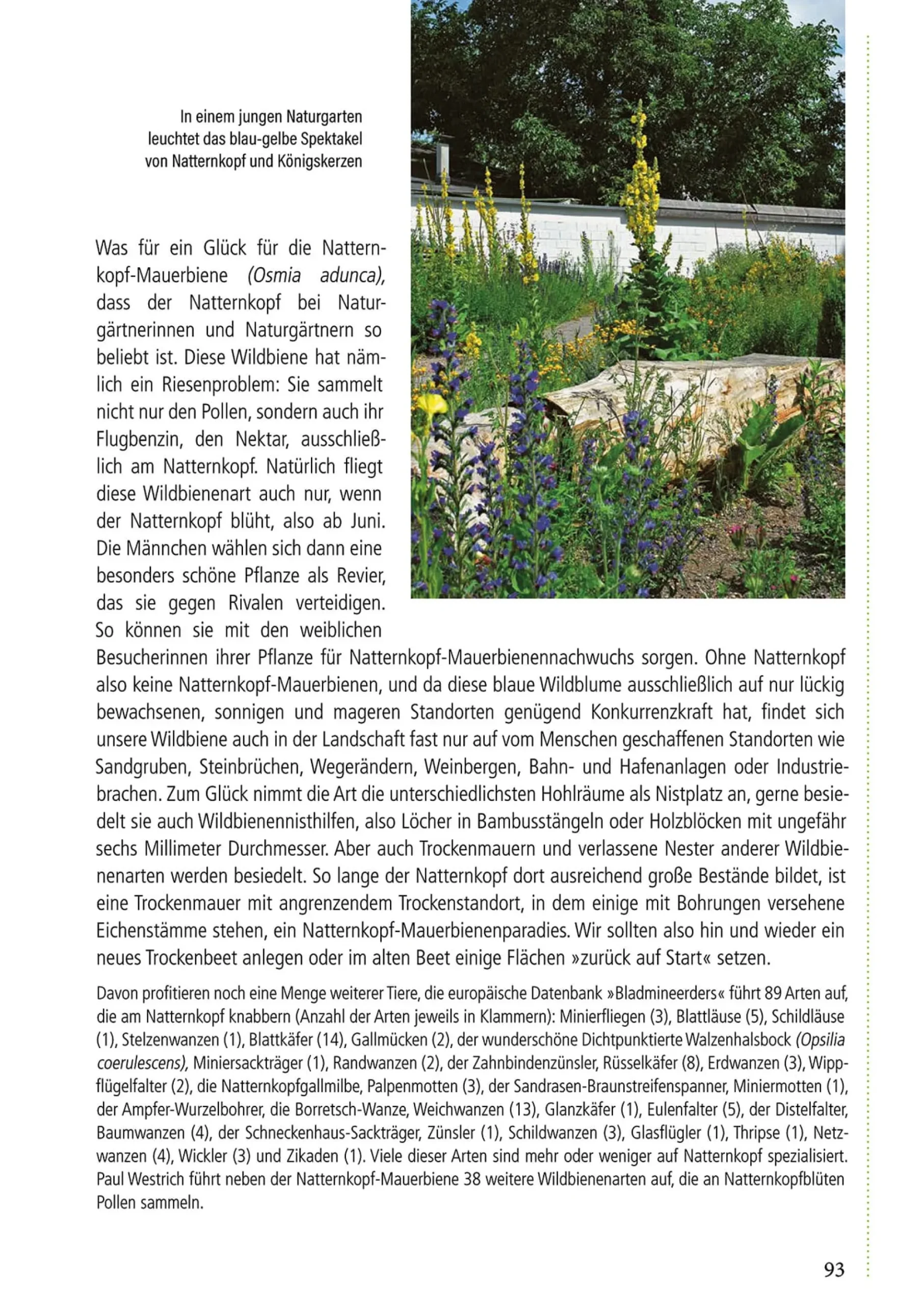 Garten & Natur|Ratgeber * Pala-Verlag Klimafest und artenreich
