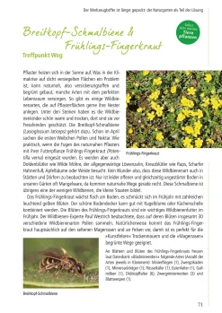 Garten & Natur|Ratgeber * Pala-Verlag Klimafest und artenreich
