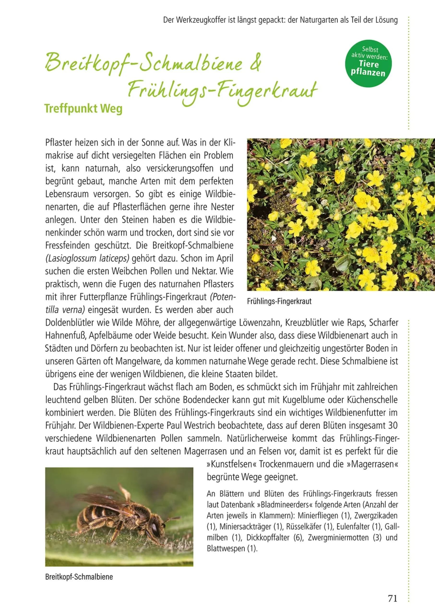 Garten & Natur|Ratgeber * Pala-Verlag Klimafest und artenreich