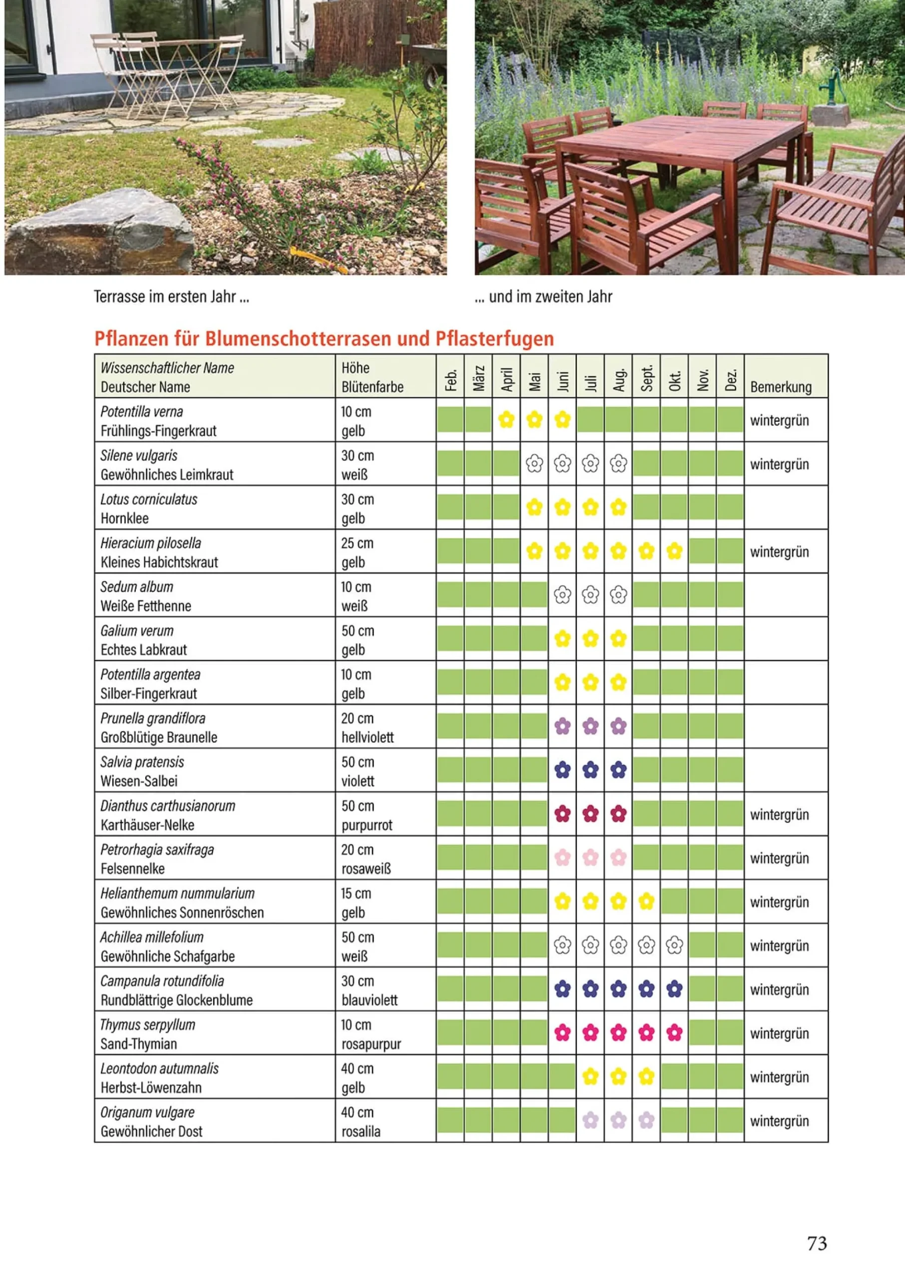 Garten & Natur|Ratgeber * Pala-Verlag Klimafest und artenreich