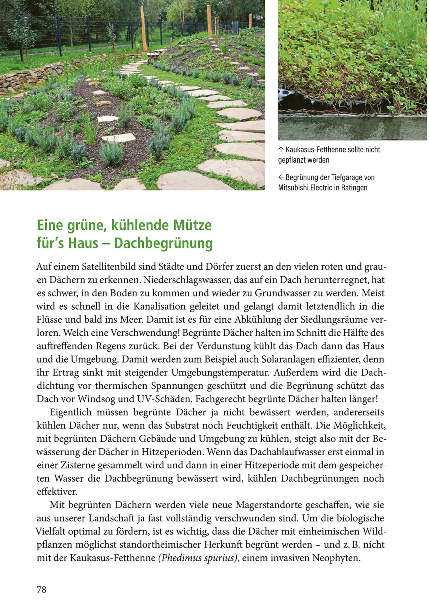 Garten & Natur|Ratgeber * Pala-Verlag Klimafest und artenreich