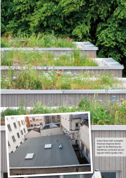 Garten & Natur|Ratgeber * Pala-Verlag Klimafest und artenreich