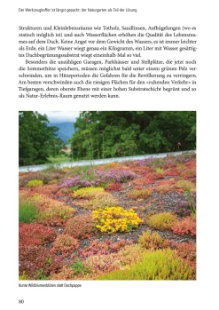 Garten & Natur|Ratgeber * Pala-Verlag Klimafest und artenreich