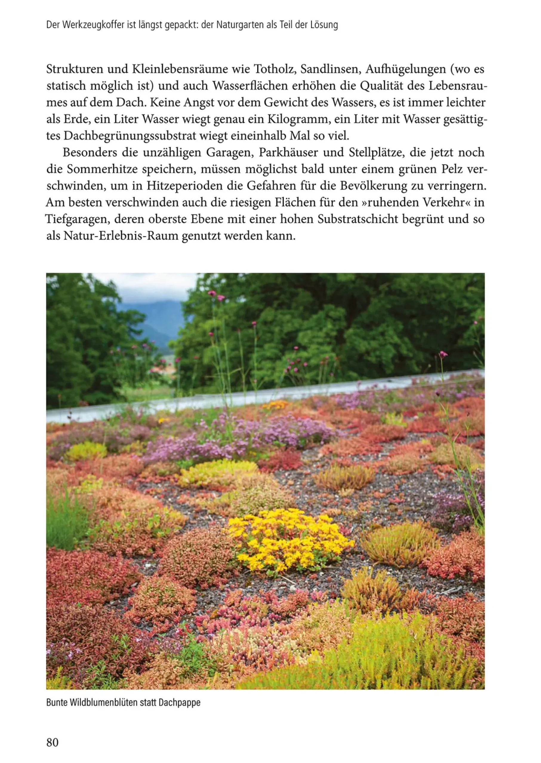 Garten & Natur|Ratgeber * Pala-Verlag Klimafest und artenreich