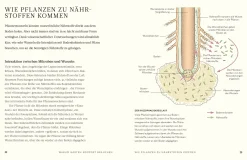 Garten & Natur|Ratgeber * Dorling Kindersley Verlag Kompost