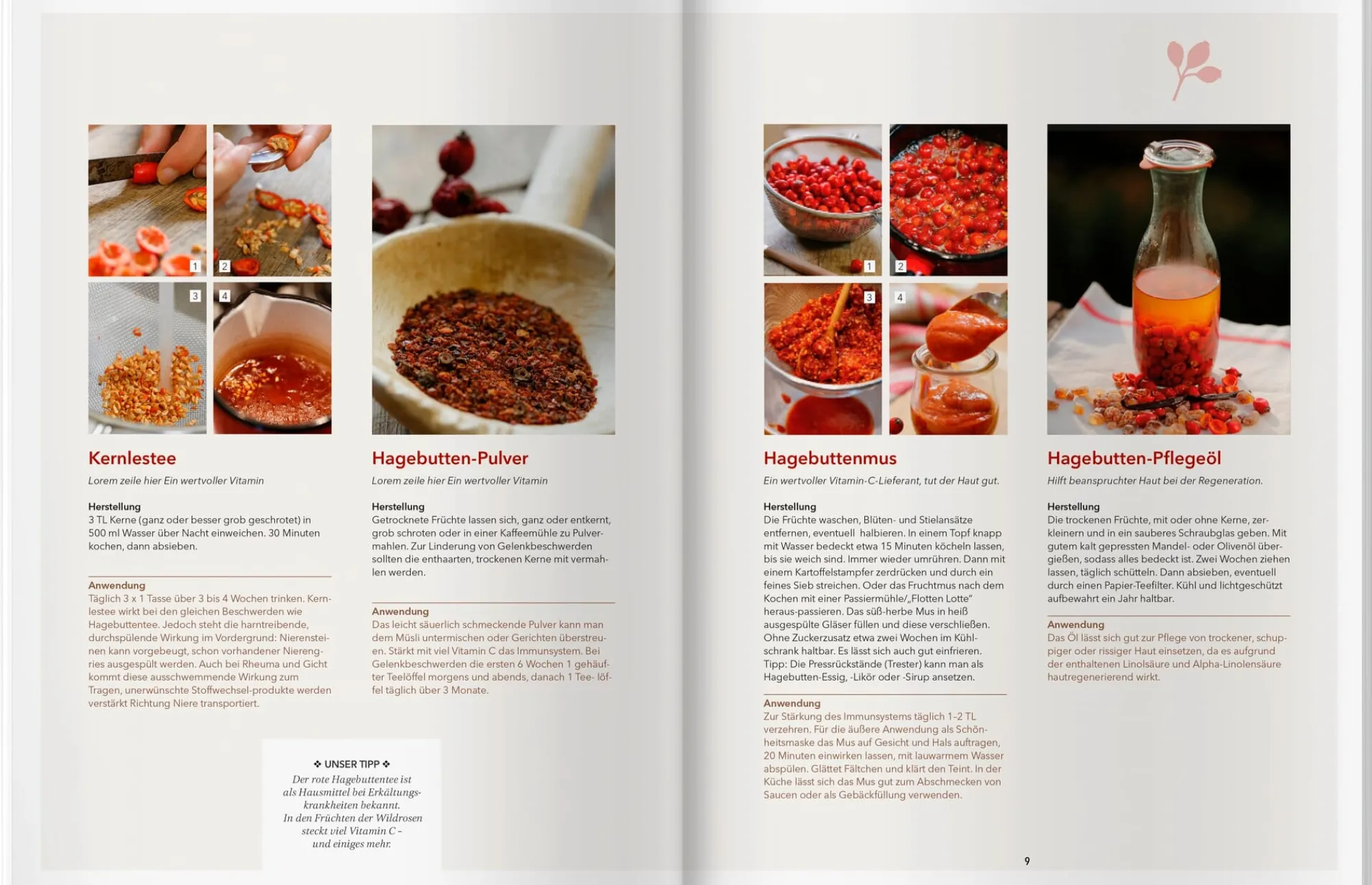 Kochen & Backen|Ratgeber * Landwirtschaftsverlag Landlust Naturapotheke