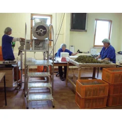 Tee * Manufactum Kräuter- und Blütentee