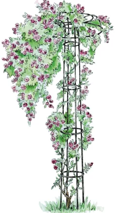 Rankgitter & Wuchshilfen * Manufactum Rosenschirm Stahl