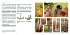 Garten & Natur|Ratgeber * Ulmer Verlag Meine lebendige Hecke
