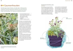 Garten & Natur|Ratgeber * Ulmer Verlag Mein Garten wächst im Topf