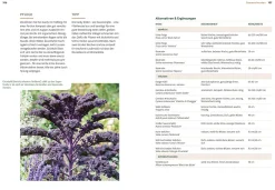Garten & Natur|Ratgeber * Ulmer Verlag Mein Garten wächst im Topf