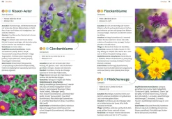 Garten & Natur|Ratgeber * Ulmer Verlag Mein Garten wächst im Topf