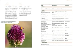 Garten & Natur|Ratgeber * Ulmer Verlag Mein Garten wächst im Topf