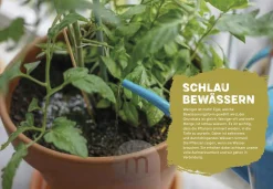 Garten & Natur|Ratgeber * Ulmer Verlag Mein genialer Bio-Balkon