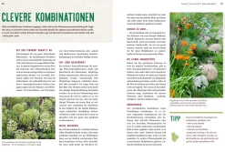 Garten & Natur|Ratgeber * Ulmer Verlag Mein Heilpflanzen-Hochbeet