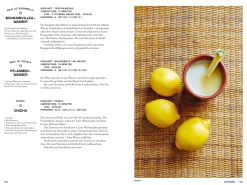 Kochen & Backen|Ratgeber * Phaidon Verlag Mexiko vegetarisch