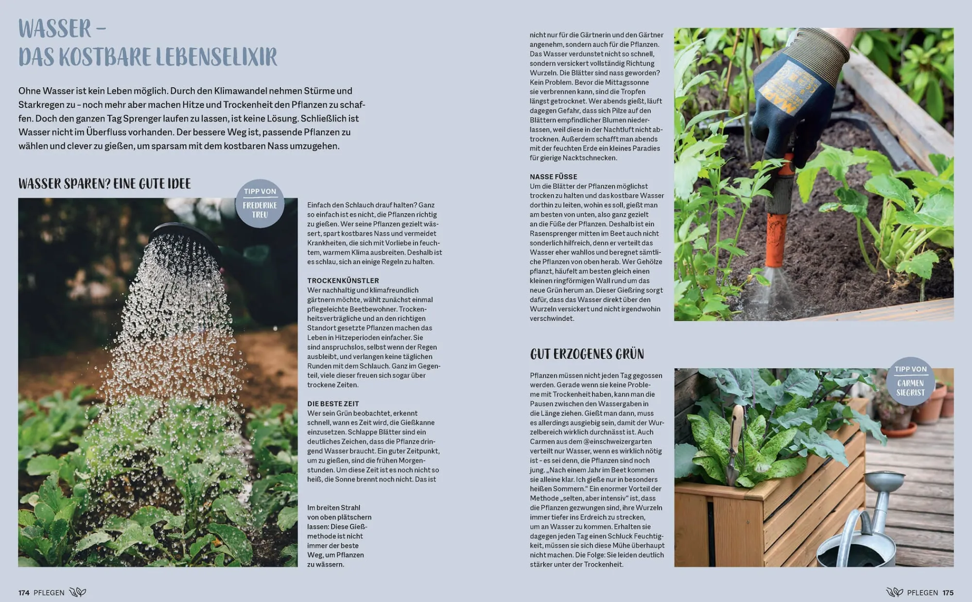 Garten & Natur|Ratgeber * Prestel Verlag Morgen grüner